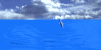dolfijnsprong.gif (47165 bytes)