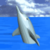 dolfijntrappel.gif (26865 bytes)