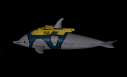 dolphin_computer_md_blk.gif (16782 bytes)