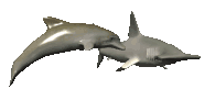 dolphindefender_lg_clr.gif (26159 bytes)